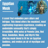 The Fizzery Egyptian Musk Pump Wax Liquid Wax Melts fragrance description