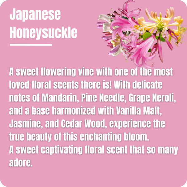 Japanese Honeysuckle Liquid Wax Melts