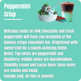Peppermint Crisp liquid wax melts fragrance notes and scent description